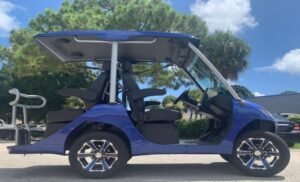 BLUE EVOLUTION D3 GOLF CART LSV STREET LEGAL 4 SEAT FAST 130AH LITHIUM R95 000,00 EVOLUTION D3 GOLF CART LSV 4 SEAT