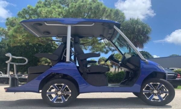 EVOLUTION D3 GOLF CART LSV  4 SEAT