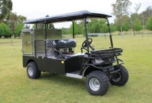 Hawk beast electric R60 000,00 Hawk Beast Electric Golf Cart